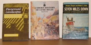 book_haul_20100911a