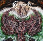 Cormorant-Earth-Diver